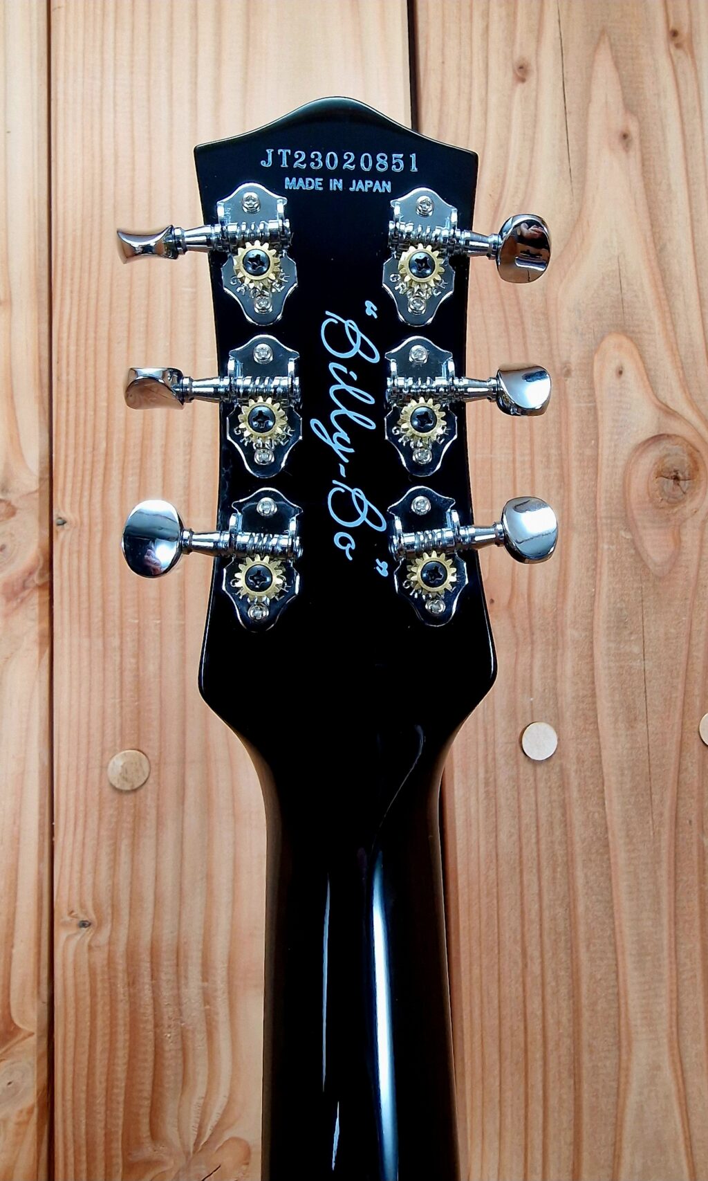 Gretsch G6199 Billy-Bo Jupiter Thunderbird, Firebird Red, Bj. 2023 &  3 ZZ Top Bücher – Bild 14