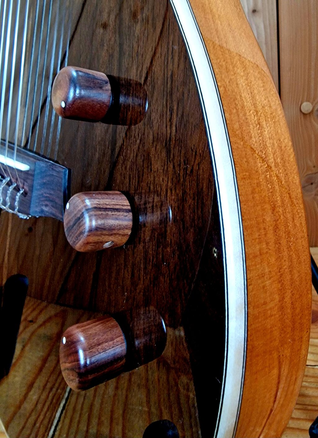Cordoba Stage E- Klassikgitarre Limited Ziricote (Nur 50 Stk. in Europa) – Bild 5