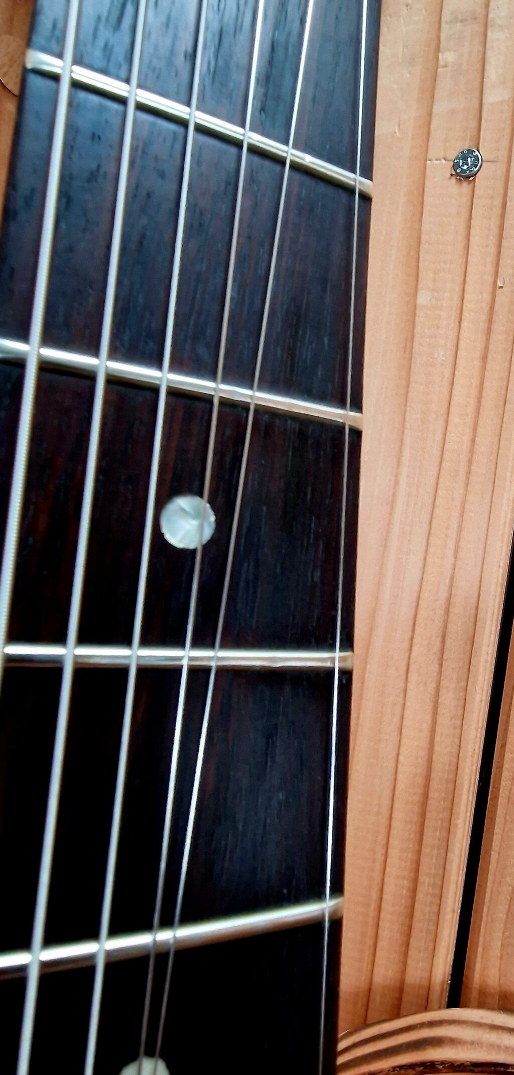 Gibson ES335 Studio, Ebony, Bj. 1987 – Bild 5
