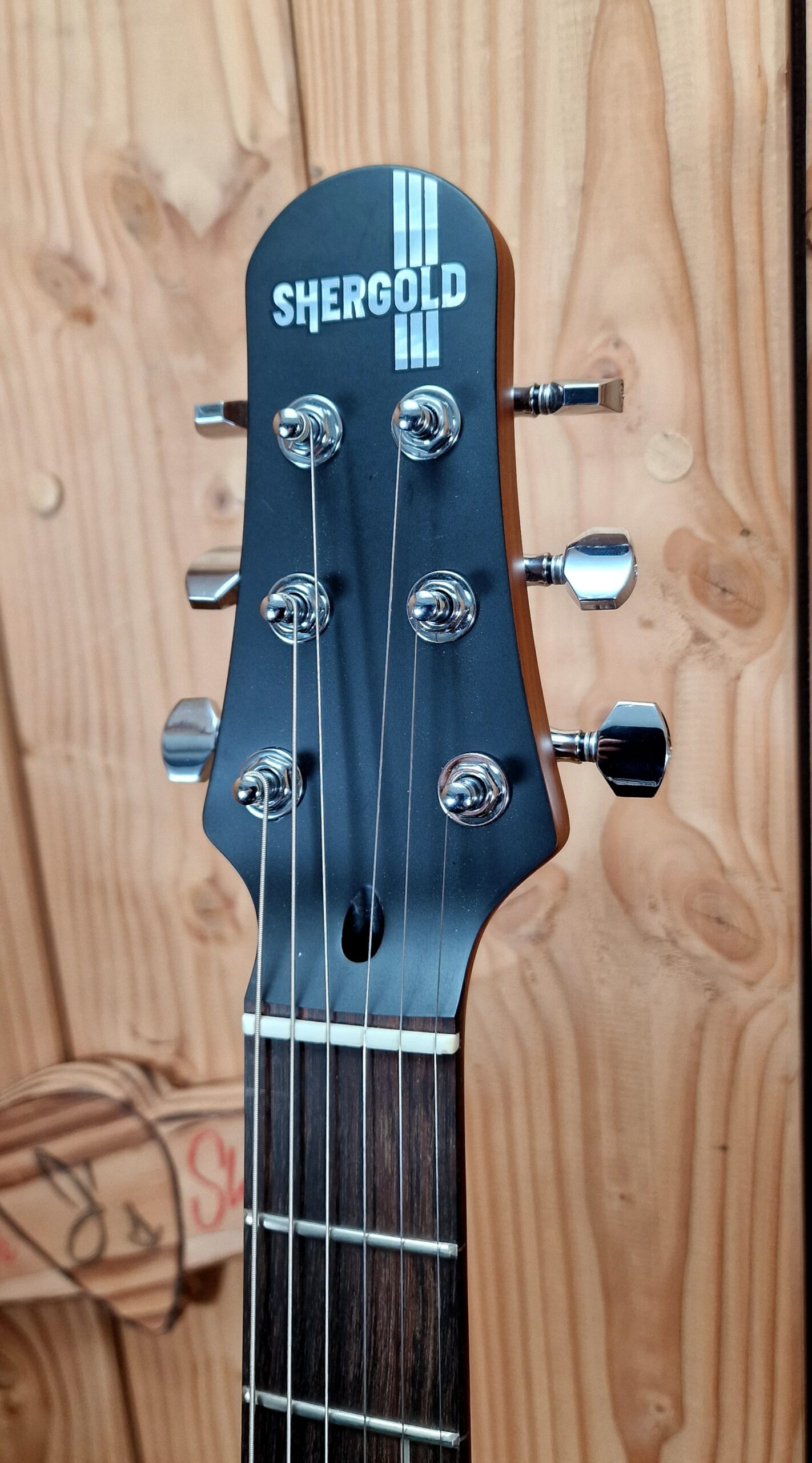 Shergold Provocateur Standard SP12DB (Dirty Blonde) – Bild 4