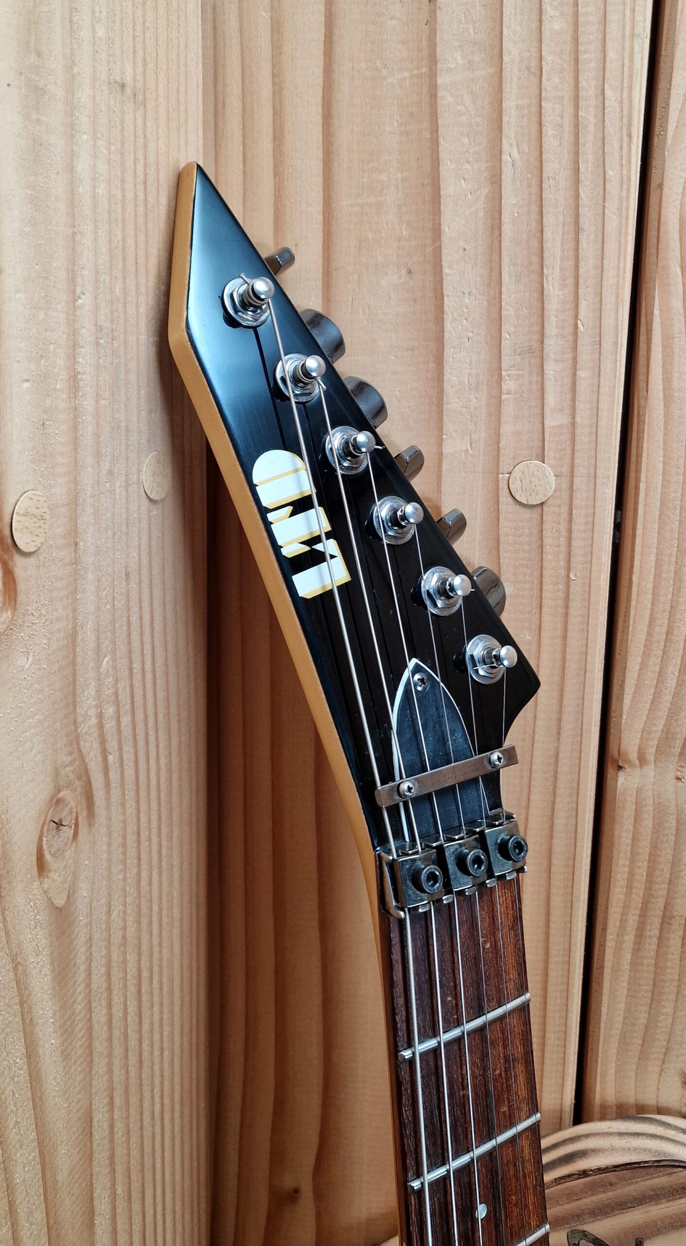 ESP LTD M200SR Limited Edition - Skulls and Roses – Bild 2