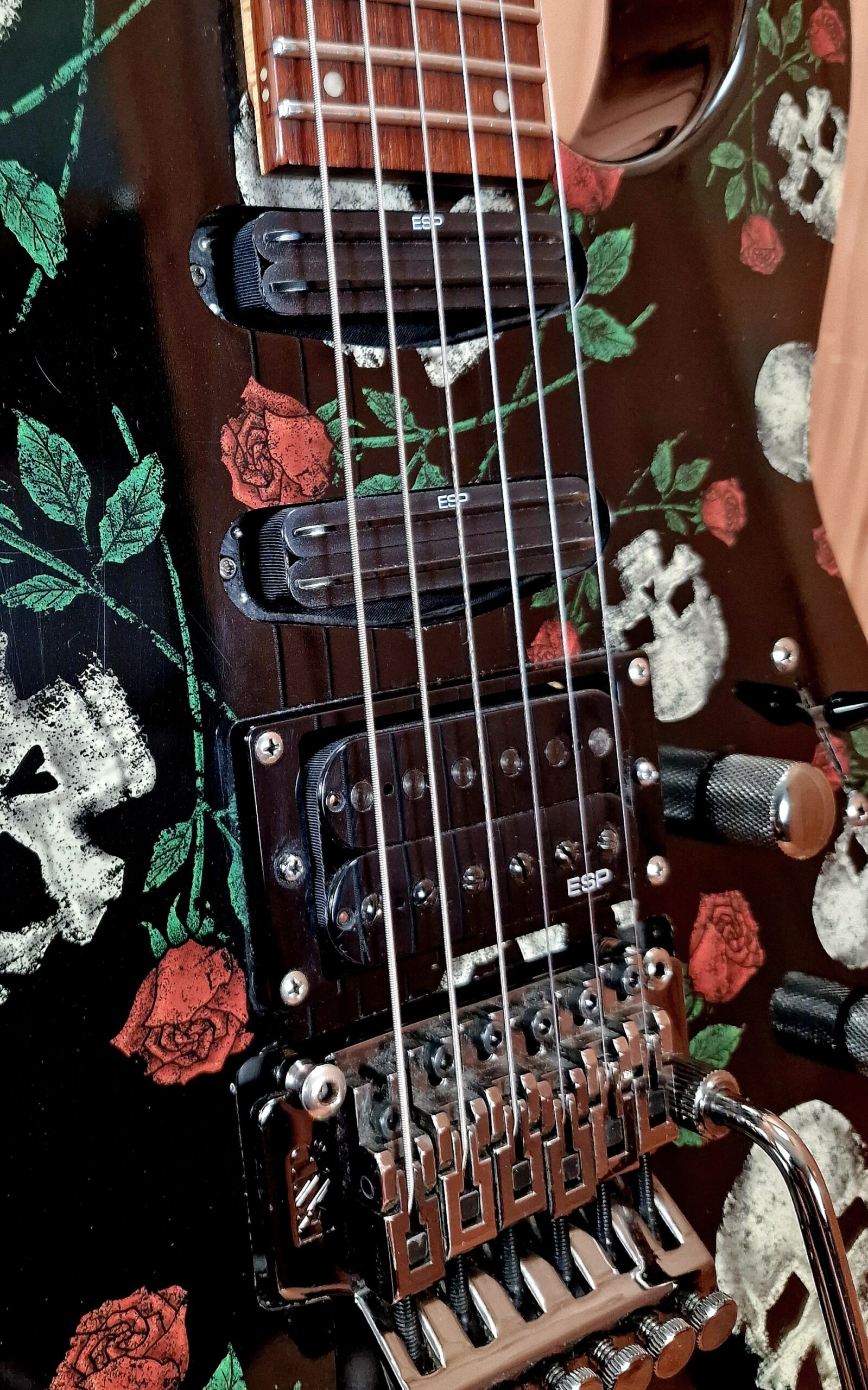 ESP LTD M200SR Limited Edition - Skulls and Roses – Bild 12