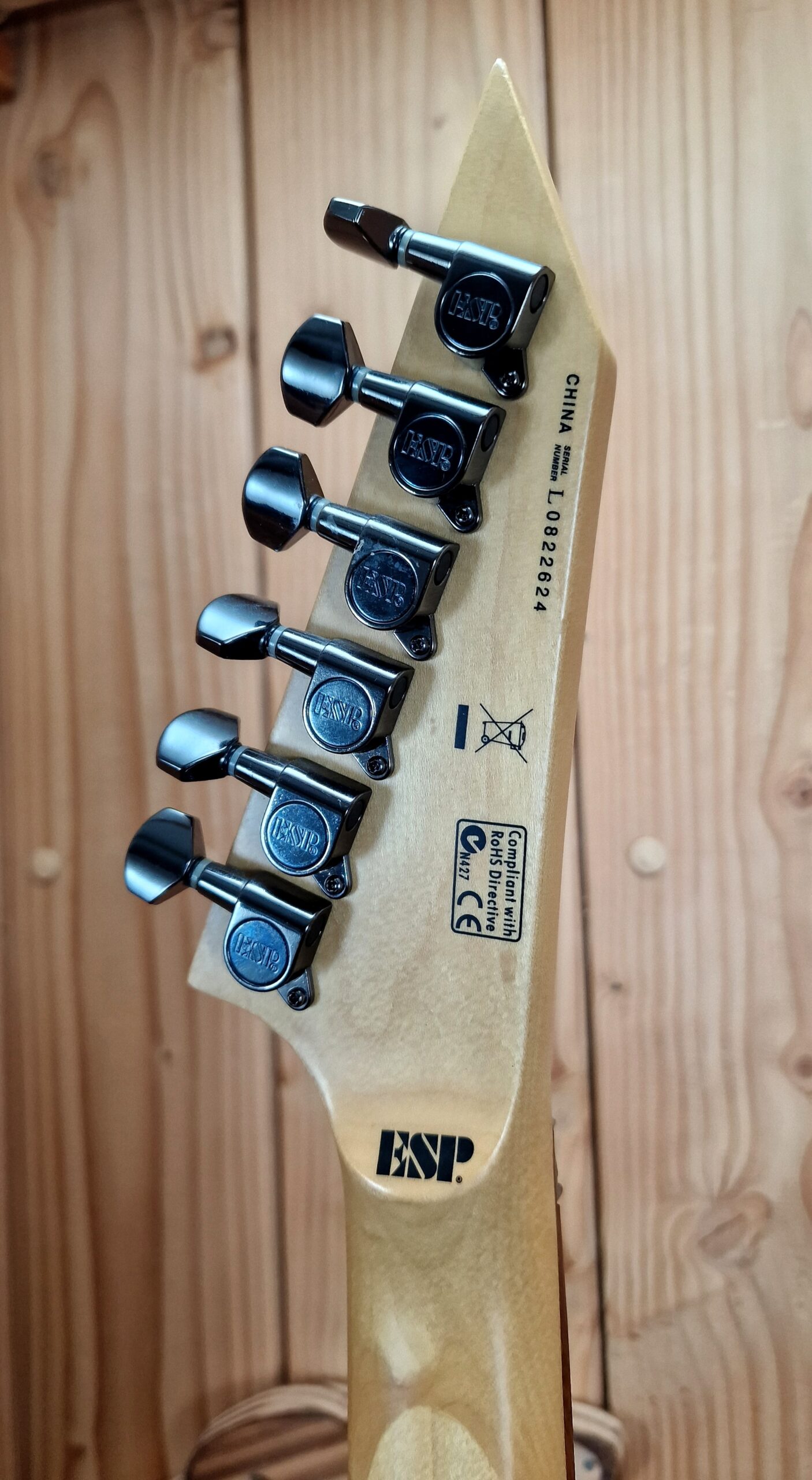 ESP LTD M200SR Limited Edition - Skulls and Roses – Bild 15