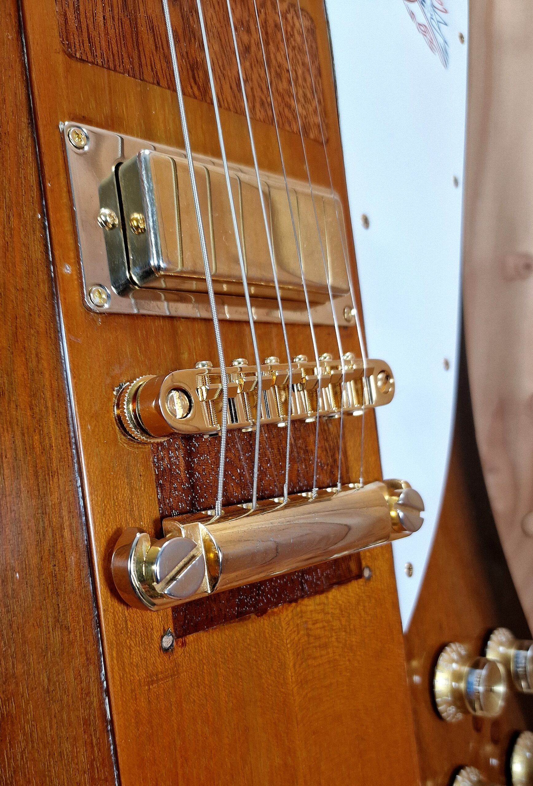 Gibson Firebird Bicentennial, Vintage Bj.1976 Players Grade – Bild 20