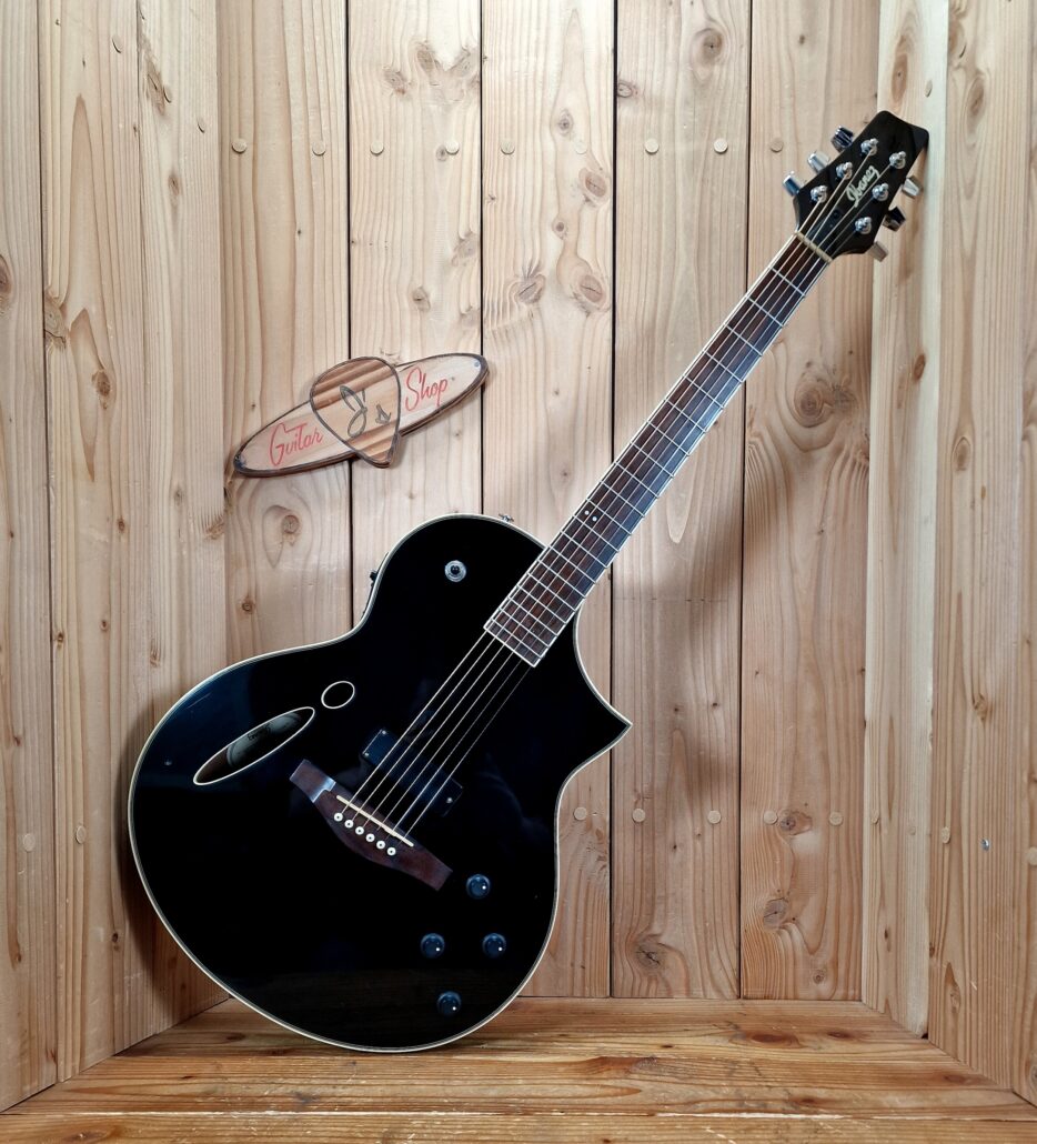 Ibanez Montage MSC-350 Western & E-Gitarre mit Koffer
