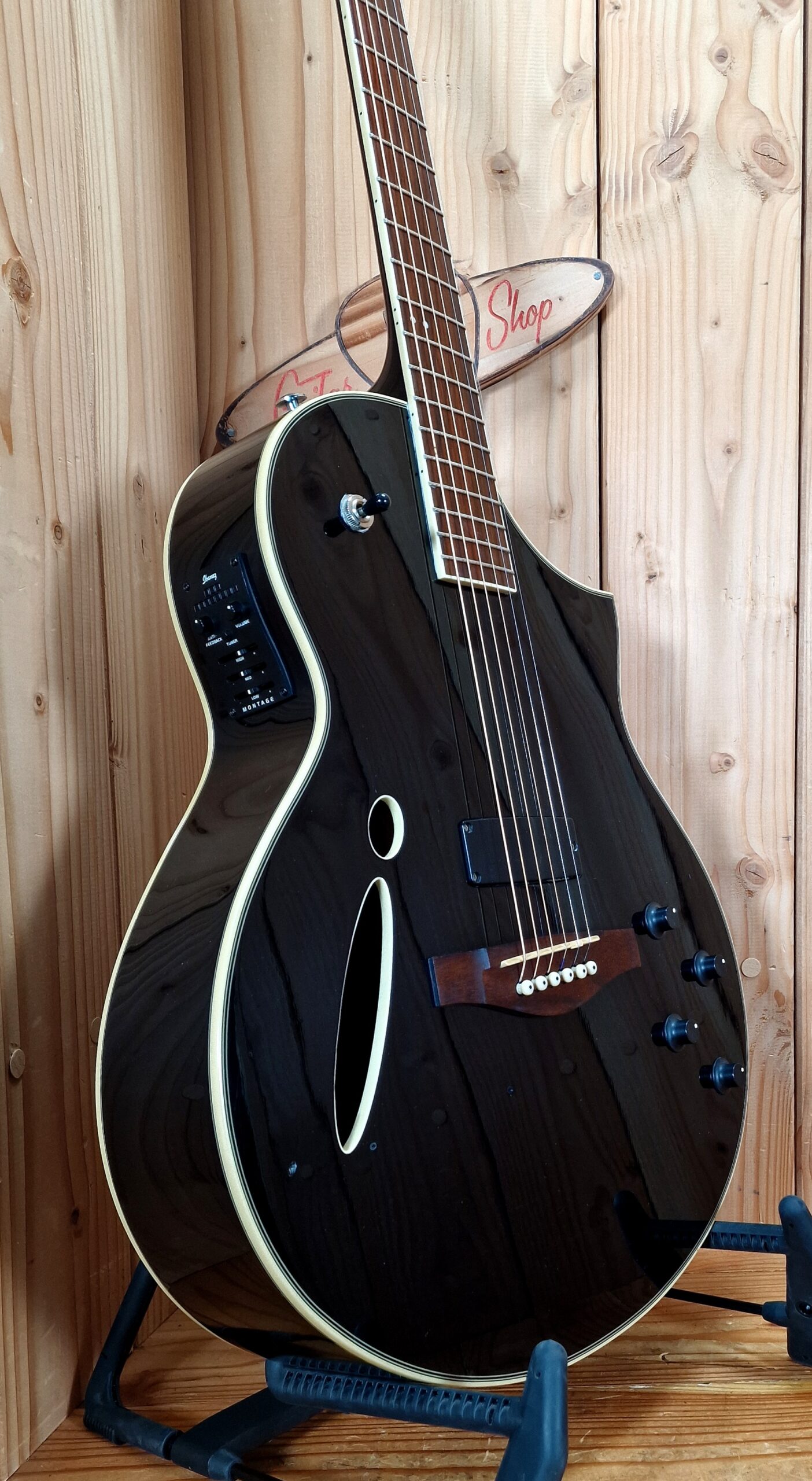 Ibanez Montage MSC-350 Western & E-Gitarre mit Koffer – Bild 7