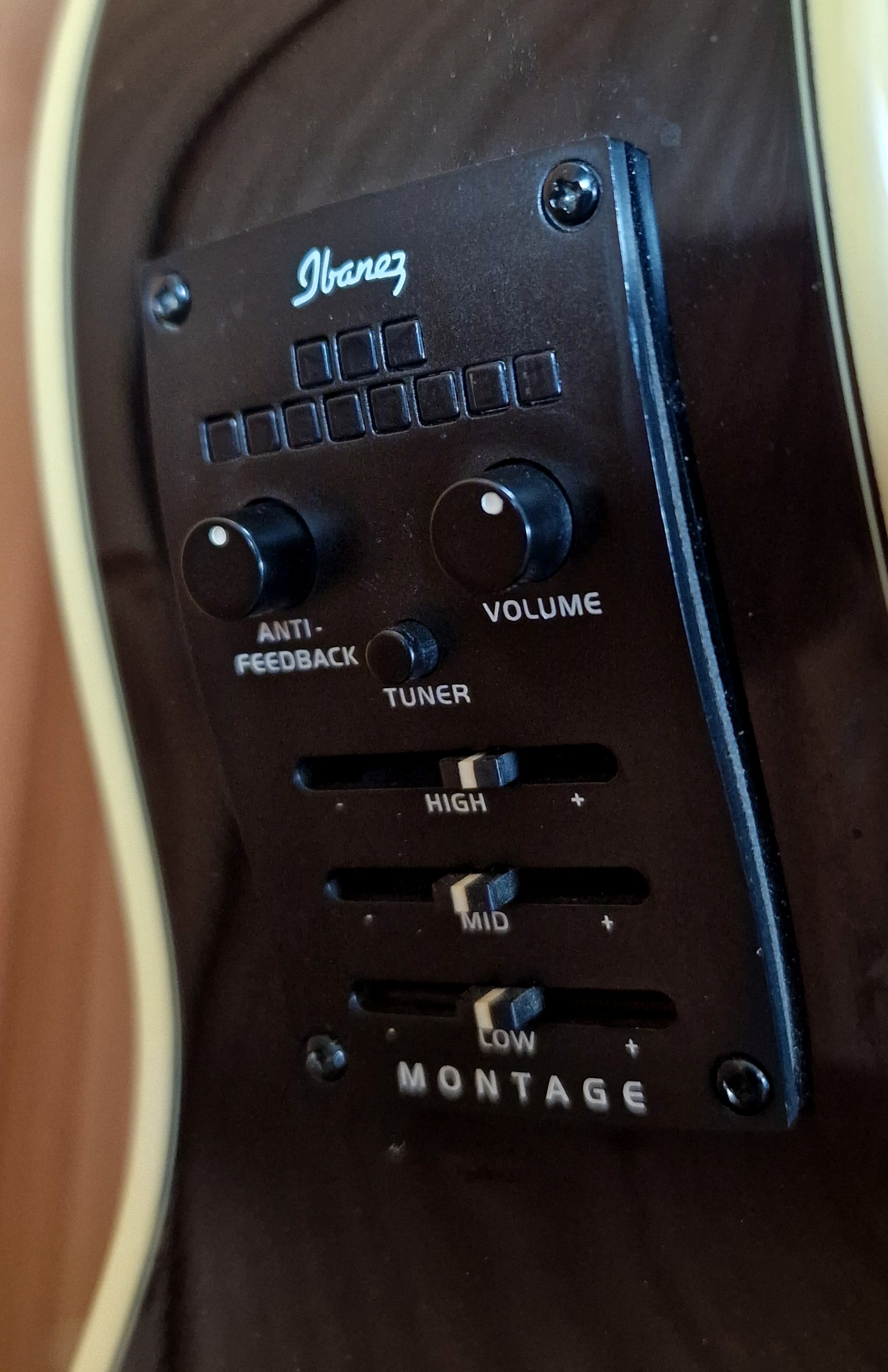 Ibanez Montage MSC-350 Western & E-Gitarre mit Koffer – Bild 8