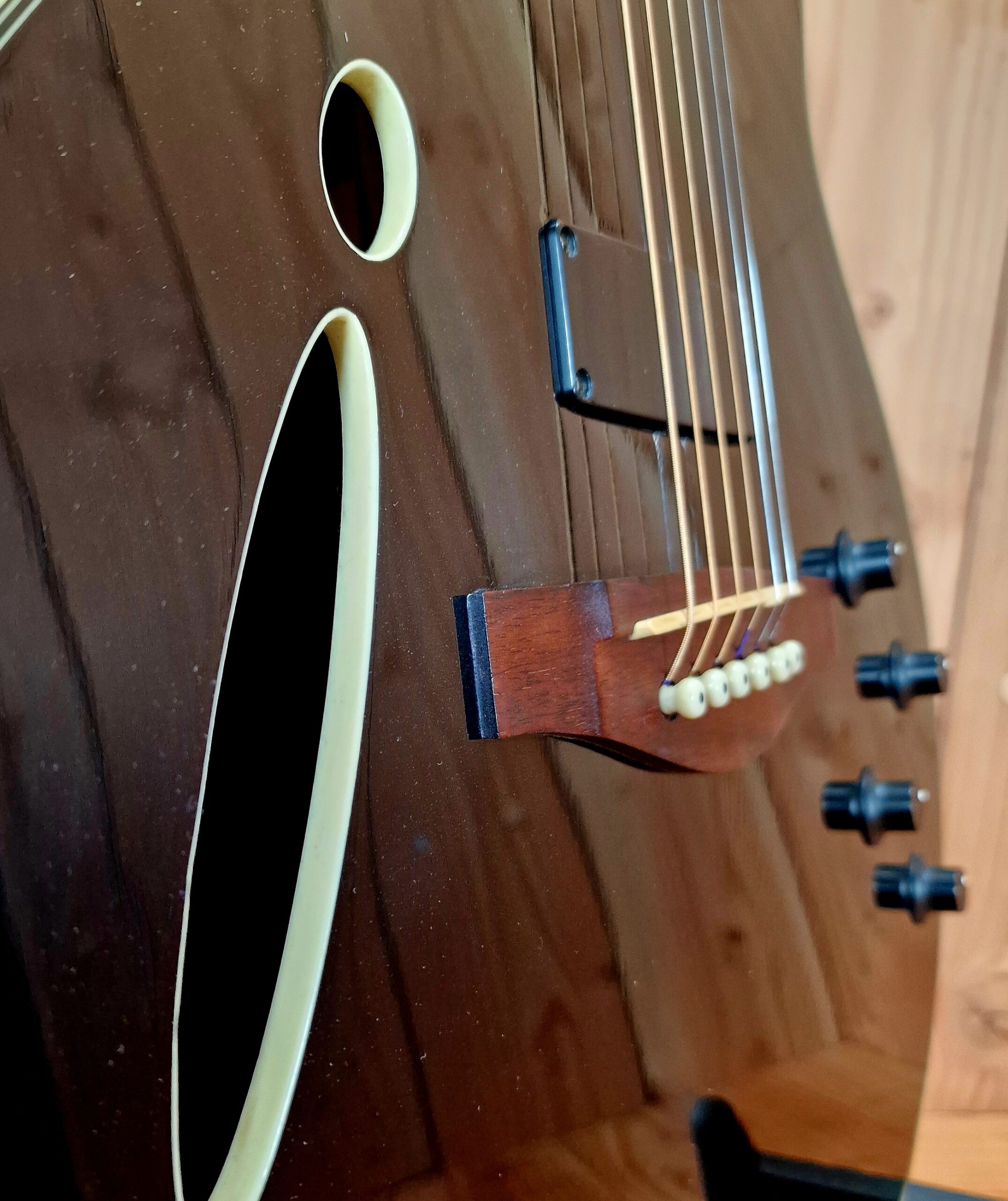 Ibanez Montage MSC-350 Western & E-Gitarre mit Koffer – Bild 9