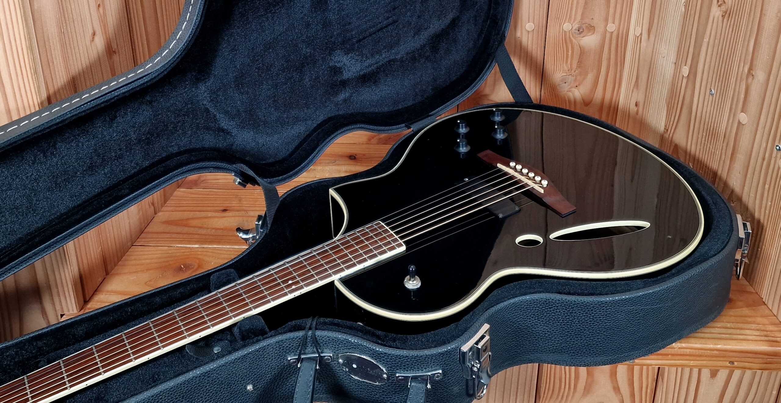 Ibanez Montage MSC-350 Western & E-Gitarre mit Koffer – Bild 12